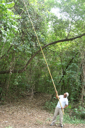  ( - BioBot02341)  @11 [ ] CreativeCommons - Attribution Non-Commercial Share-Alike (2010) Daniel H. Janzen Guanacaste Dry Forest Conservation Fund