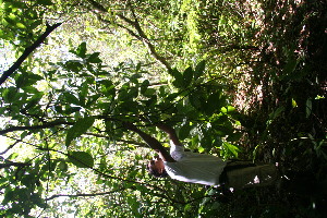  ( - BioBot05012)  @11 [ ] Copyright (2010) Unspecified Unspecified
