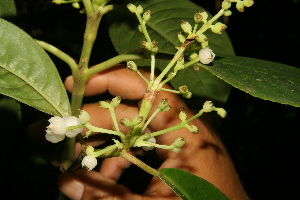  ( - BioBot05012)  @11 [ ] Copyright (2010) Unspecified Unspecified