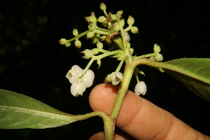  ( - BioBot05012)  @11 [ ] Copyright (2010) Unspecified Unspecified
