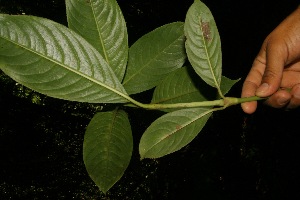  ( - BioBot05012)  @11 [ ] Copyright (2010) Unspecified Unspecified