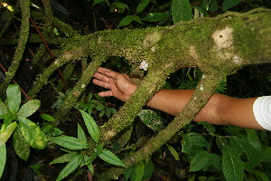  ( - BioBot05012)  @11 [ ] Copyright (2010) Unspecified Unspecified