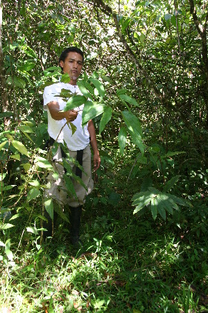  ( - BioBot05015)  @11 [ ] CreativeCommons - Attribution Non-Commercial Share-Alike (2010) Daniel H. Janzen Guanacaste Dry Forest Conservation Fund