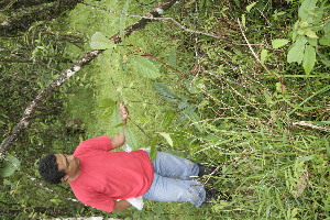  ( - BioBot05017)  @11 [ ] Copyright (2010) Unspecified Unspecified