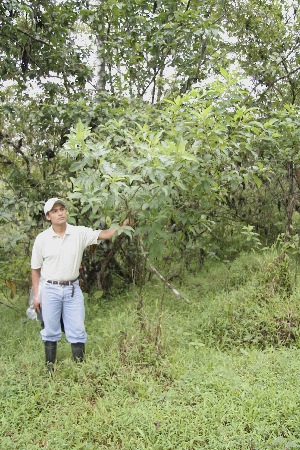  ( - BioBot05028)  @11 [ ] CreativeCommons - Attribution Non-Commercial Share-Alike (2010) Daniel H. Janzen Guanacaste Dry Forest Conservation Fund