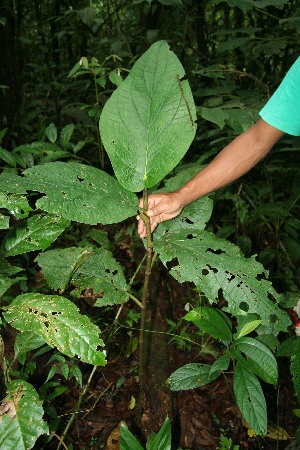  ( - BioBot05149)  @11 [ ] Copyright (2010) Unspecified Unspecified