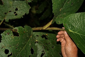 ( - BioBot05149)  @11 [ ] Copyright (2010) Unspecified Unspecified