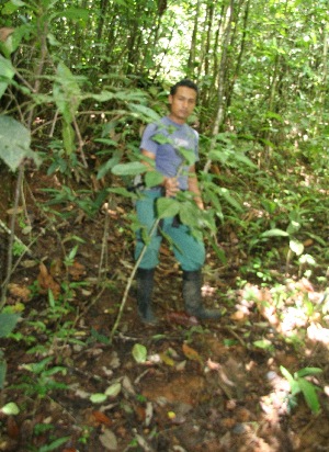  ( - BioBot05172)  @11 [ ] CreativeCommons - Attribution Non-Commercial Share-Alike (2010) Daniel H. Janzen Guanacaste Dry Forest Conservation Fund