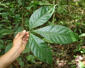  ( - BioBot05172)  @11 [ ] Copyright (2010) Unspecified Unspecified