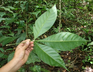  ( - BioBot05172)  @11 [ ] Copyright (2010) Unspecified Unspecified