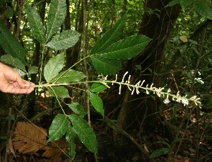  ( - BioBot05173)  @11 [ ] Copyright (2010) Unspecified Unspecified