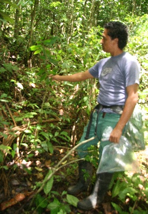 ( - BioBot05178)  @11 [ ] CreativeCommons - Attribution Non-Commercial Share-Alike (2010) Daniel H. Janzen Guanacaste Dry Forest Conservation Fund