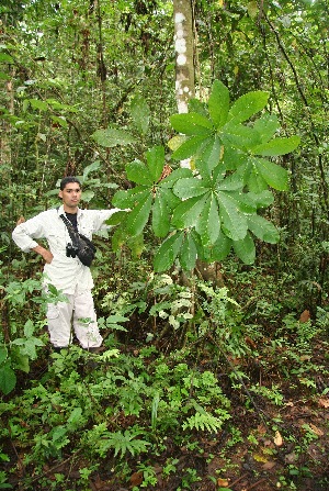  ( - BioBot05204)  @11 [ ] CreativeCommons - Attribution Non-Commercial Share-Alike (2010) Daniel H. Janzen Guanacaste Dry Forest Conservation Fund