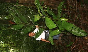  ( - BioBot05223)  @11 [ ] Copyright (2010) Unspecified Unspecified