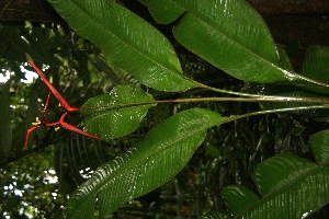  ( - BioBot05223)  @11 [ ] Copyright (2010) Unspecified Unspecified