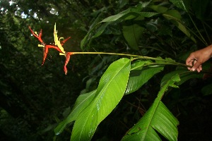  ( - BioBot05224)  @11 [ ] Copyright (2010) Unspecified Unspecified