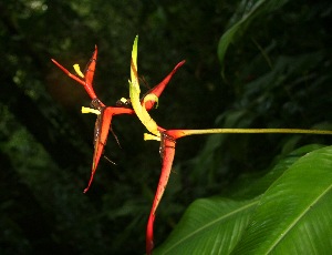  ( - BioBot05224)  @11 [ ] Copyright (2010) Unspecified Unspecified