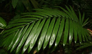  ( - BioBot05226)  @11 [ ] Copyright (2010) Unspecified Unspecified