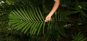  ( - BioBot05226)  @11 [ ] Copyright (2010) Unspecified Unspecified