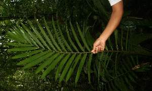  ( - BioBot05226)  @11 [ ] Copyright (2010) Unspecified Unspecified