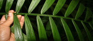  ( - BioBot05226)  @11 [ ] Copyright (2010) Unspecified Unspecified