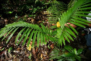  ( - BioBot05227)  @11 [ ] Copyright (2010) Unspecified Unspecified
