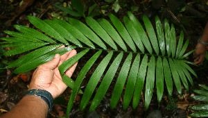  ( - BioBot05228)  @11 [ ] Copyright (2010) Unspecified Unspecified