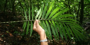  ( - BioBot05228)  @11 [ ] Copyright (2010) Unspecified Unspecified