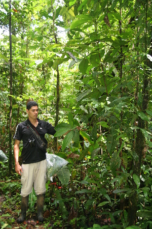  ( - BioBot05232)  @11 [ ] CreativeCommons - Attribution Non-Commercial Share-Alike (2010) Daniel H. Janzen Guanacaste Dry Forest Conservation Fund