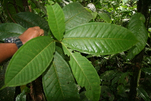  ( - BioBot05232)  @11 [ ] Copyright (2010) Unspecified Unspecified