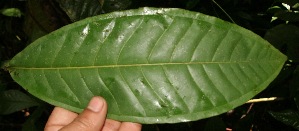  ( - BioBot05232)  @11 [ ] Copyright (2010) Unspecified Unspecified