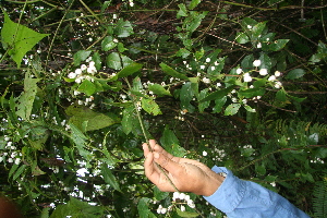  ( - BioBot05300)  @11 [ ] Copyright (2010) Unspecified Unspecified