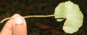  ( - BioBot05320)  @11 [ ] Copyright (2010) Unspecified Unspecified