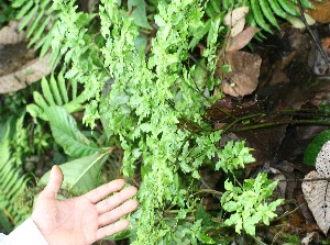  ( - BioBot05348)  @11 [ ] Copyright (2010) Unspecified Unspecified