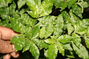  ( - BioBot05348)  @11 [ ] Copyright (2010) Unspecified Unspecified