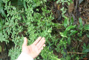  ( - BioBot05349)  @11 [ ] Copyright (2010) Unspecified Unspecified