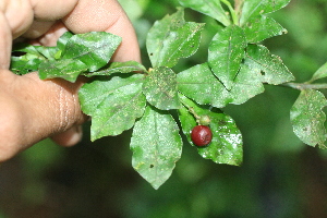  ( - BioBot05349)  @11 [ ] Copyright (2010) Unspecified Unspecified