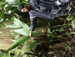  ( - BioBot05352)  @11 [ ] Copyright (2010) Unspecified Unspecified