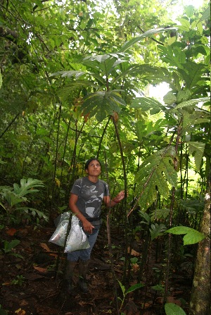  ( - BioBot05679)  @11 [ ] CreativeCommons - Attribution Non-Commercial Share-Alike (2010) Daniel H. Janzen Guanacaste Dry Forest Conservation Fund