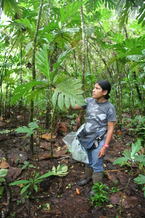  ( - BioBot05680)  @11 [ ] CreativeCommons - Attribution Non-Commercial Share-Alike (2010) Daniel H. Janzen Guanacaste Dry Forest Conservation Fund