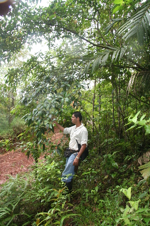  (Blakea scarlatina - BioBot05693)  @11 [ ] CreativeCommons - Attribution Non-Commercial Share-Alike (2010) Daniel H. Janzen Guanacaste Dry Forest Conservation Fund