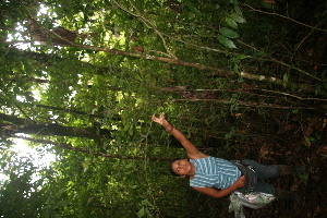  ( - BioBot06051)  @11 [ ] CreativeCommons - Attribution Non-Commercial Share-Alike (2010) Daniel H. Janzen Guanacaste Dry Forest Conservation Fund