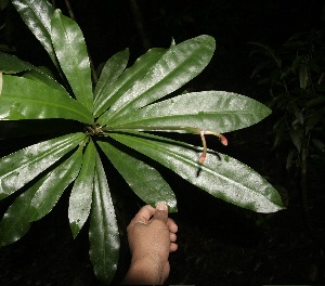  ( - BioBot10000)  @11 [ ] Copyright (2010) Unspecified Unspecified