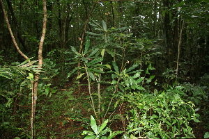  ( - BioBot10002)  @11 [ ] Copyright (2010) Unspecified Unspecified