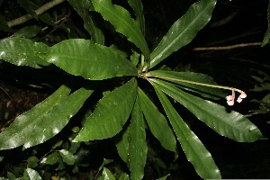  ( - BioBot10002)  @11 [ ] Copyright (2010) Unspecified Unspecified