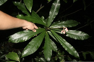  ( - BioBot10002)  @11 [ ] Copyright (2010) Unspecified Unspecified