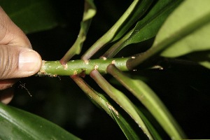  ( - BioBot10002)  @11 [ ] Copyright (2010) Unspecified Unspecified
