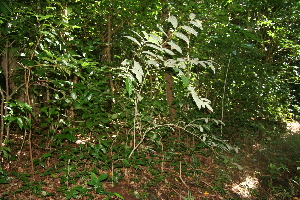  ( - BioBot10051)  @11 [ ] Copyright (2010) Unspecified Unspecified