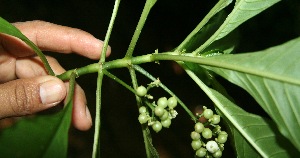  ( - BioBot10067)  @11 [ ] Copyright (2010) Unspecified Unspecified