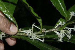  ( - BioBot10133)  @11 [ ] Copyright (2010) Unspecified Unspecified